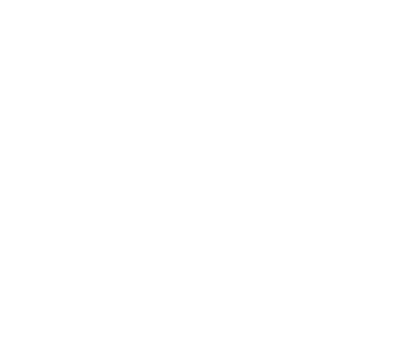 قاعة الزفاف